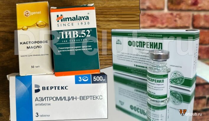 Чем лечить папилломы у собак