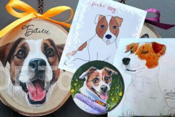 Рисунки джек рассел терьера