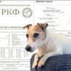 Где сделать родословную собаке